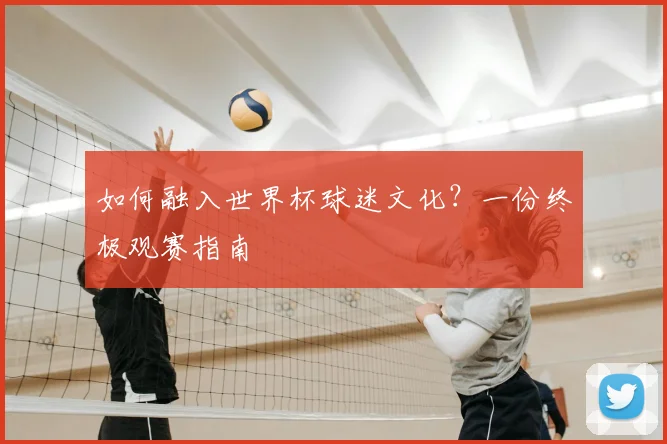 如何融入世界杯球迷文化?一份终极观赛指南