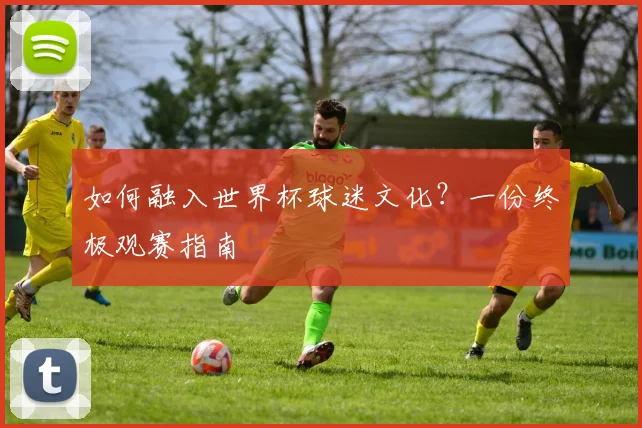 如何融入世界杯球迷文化？一份终极观赛指南